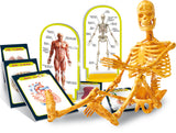 I'm a Genius - Human Body Bilingual version - Assemble Human Skeleton for Big Kids