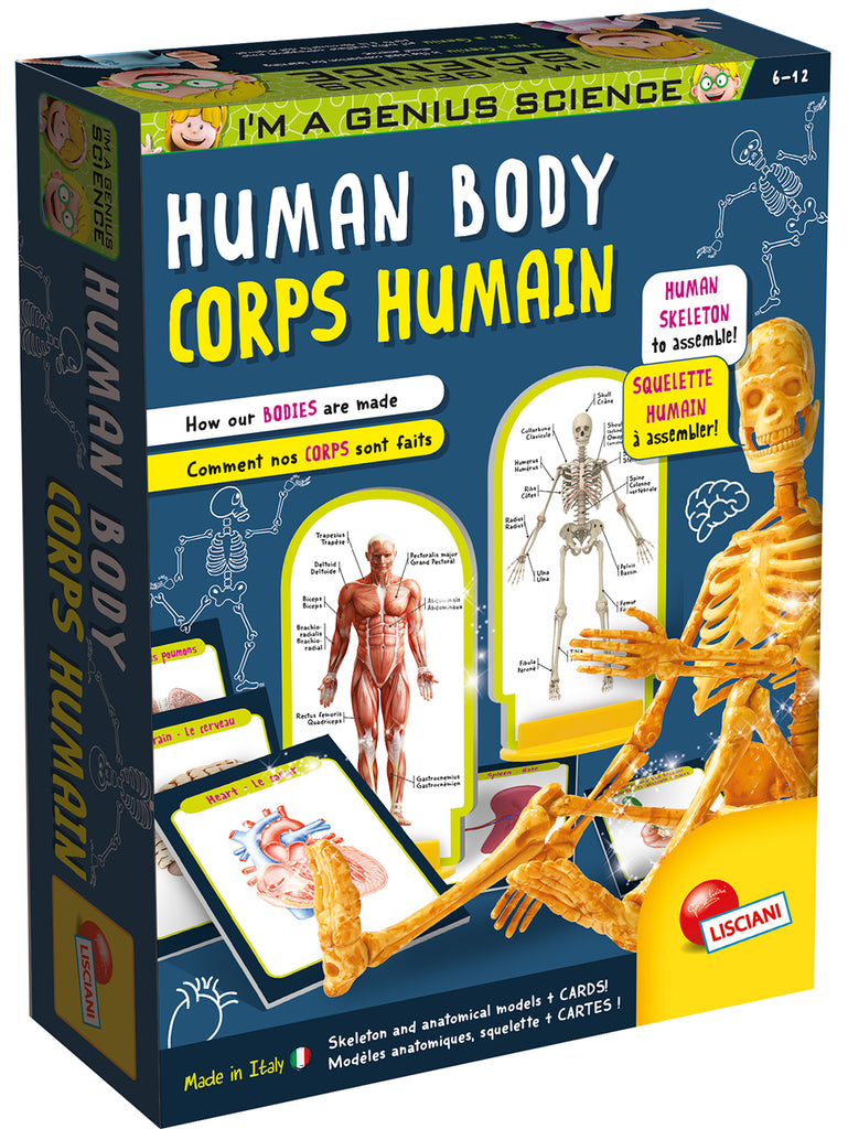I'm a Genius - Human Body Bilingual version - Assemble Human Skeleton for Big Kids